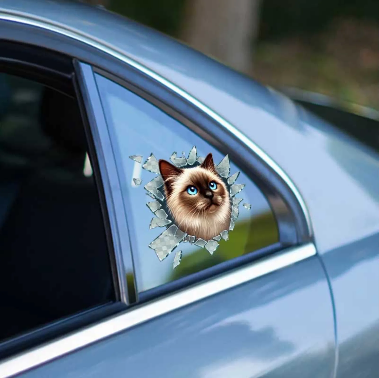 Siamesse Araç Stickerı