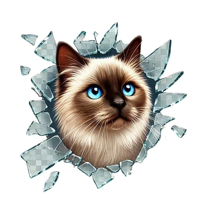 Siamesse Araç Stickerı