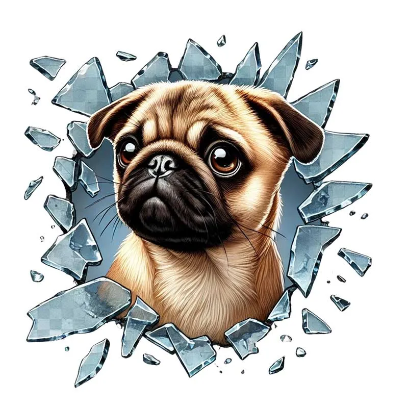 French Bulldog Araç Stickerı