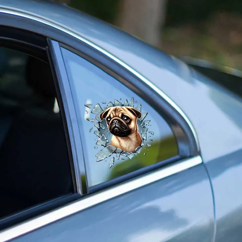 French Bulldog Araç Stickerı