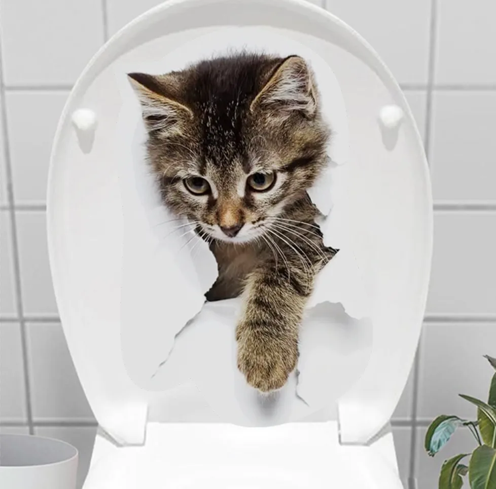 Toilet Tag Stray Cat
