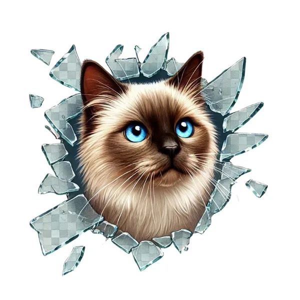 Kedi Tasarımlı Araç Stickerı